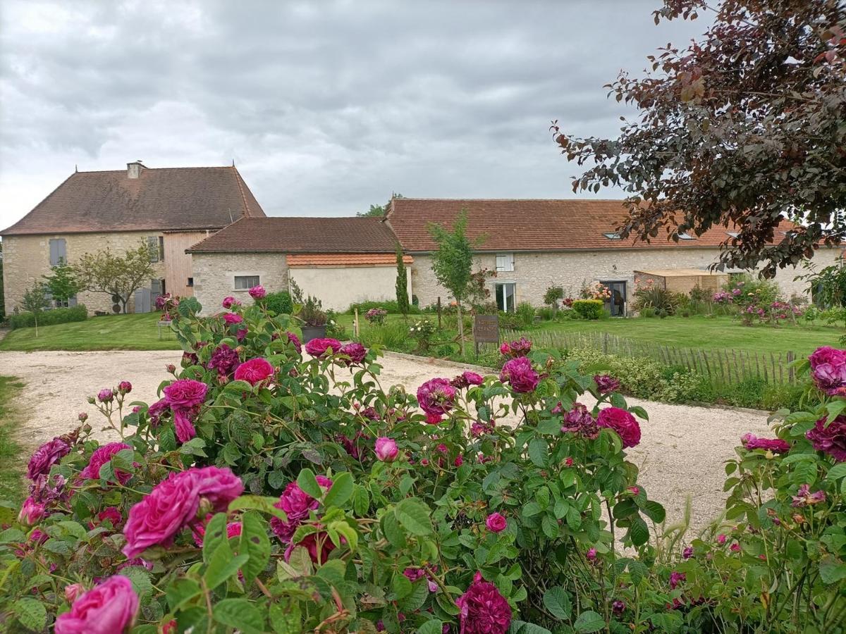 La Grange Des Anges Villa Blanc  Exterior photo